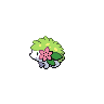 hypno